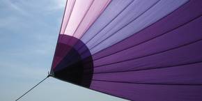 Bild von eine lilafarbenen Fächer